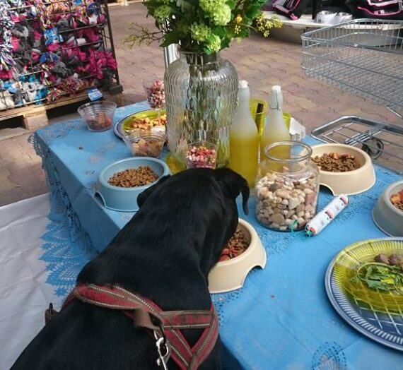 Dierendag bij Intratuin Zoetermeer